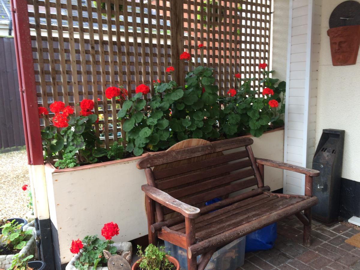 סידמות' Southcombe Guesthouse מראה חיצוני תמונה